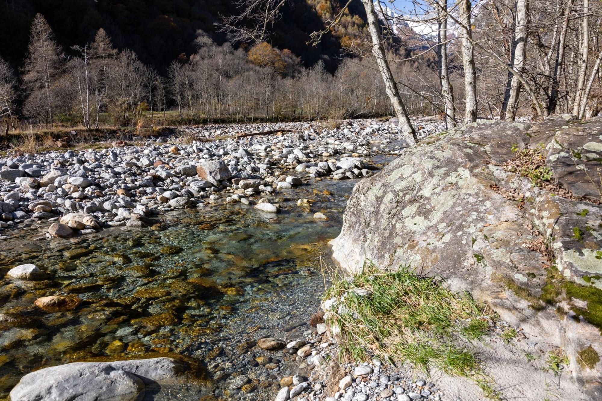 Verzasca Lodge Elma Sonogno Dış mekan fotoğraf